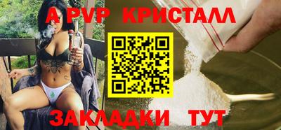 индика Ставрополь