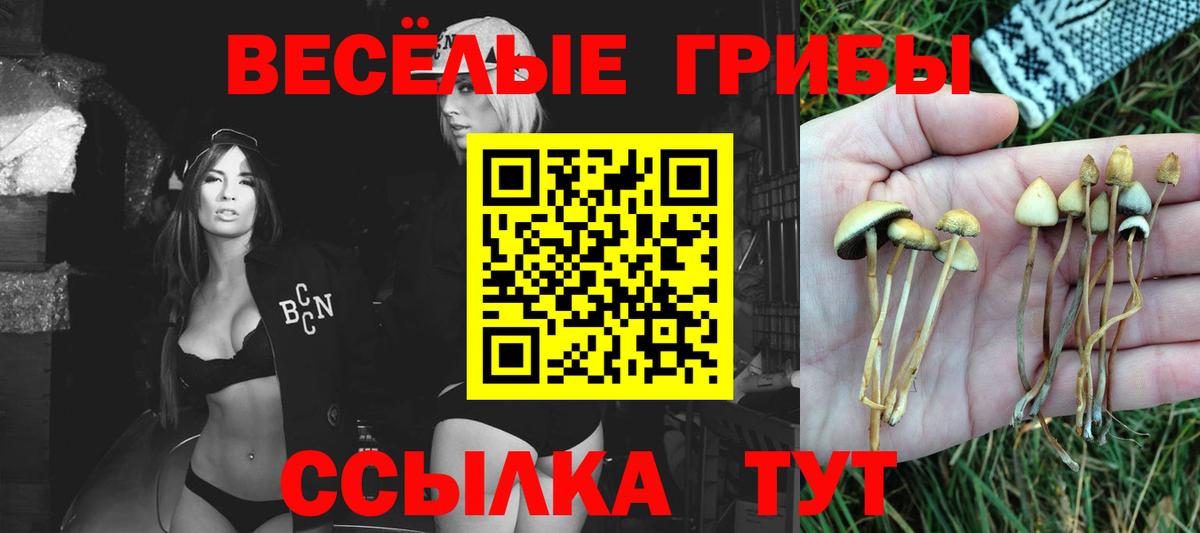 Псилоцибиновые грибы мухоморы Новокубанск